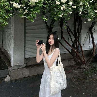 国王与小鸟