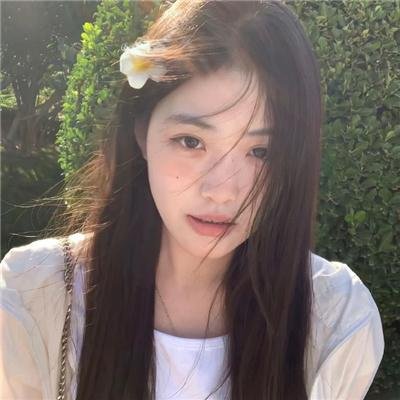 黑艳凤